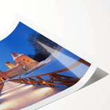 Extra large wall art featuring line art flowers in black on white, rolled print format.