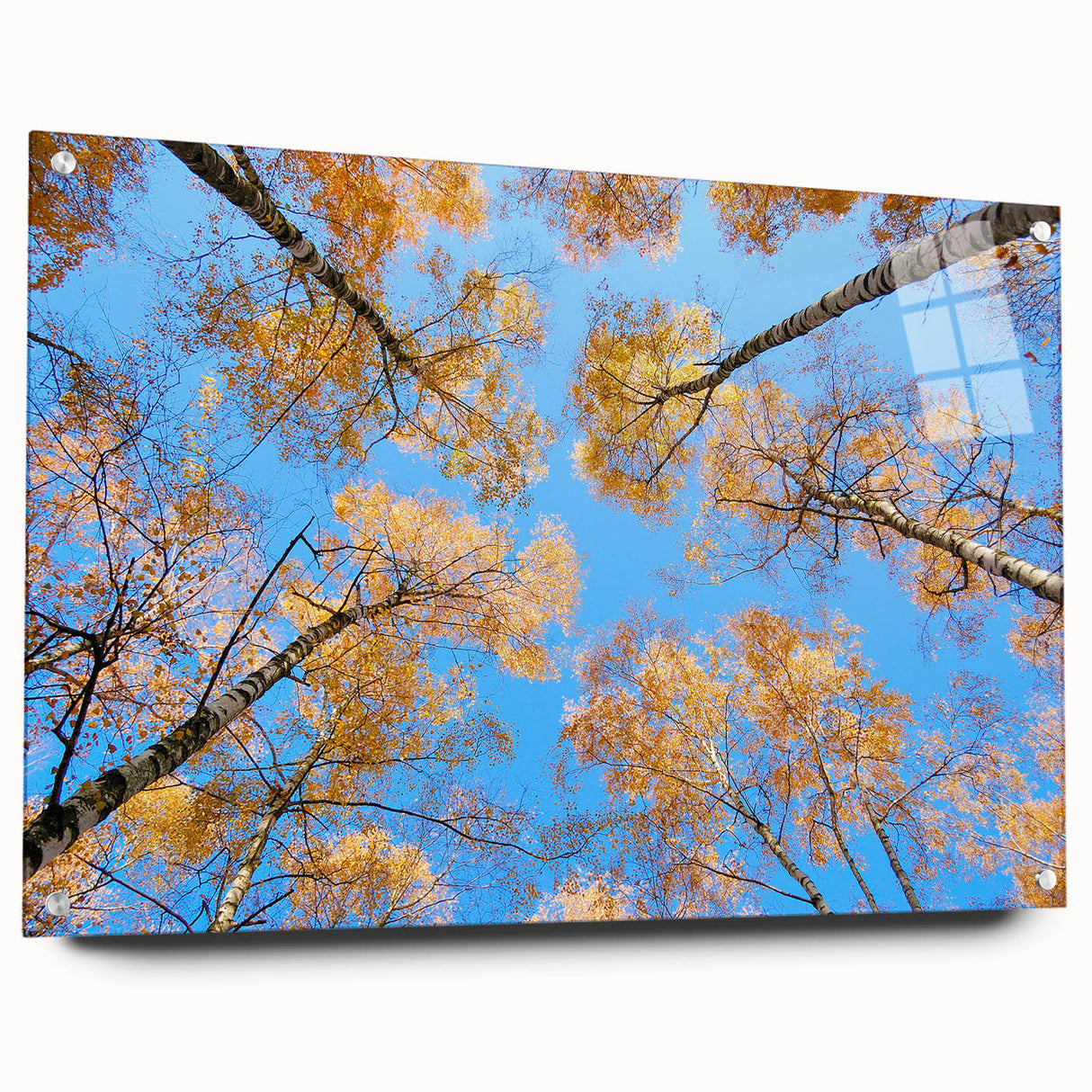 Large abstract wall art of a European scenery in muted blue and green tones on acrylic glass, ideal for dining room decor.