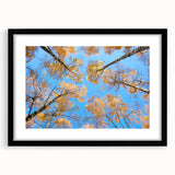 Extra large, textured abstract art print of colorful, undefined shapes on a black framed canvas, ideal for living room decor.