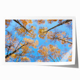 Rolled print of a Ukrainian landscape featuring vibrant green fields and blue skies, ideal for art wall dining room.