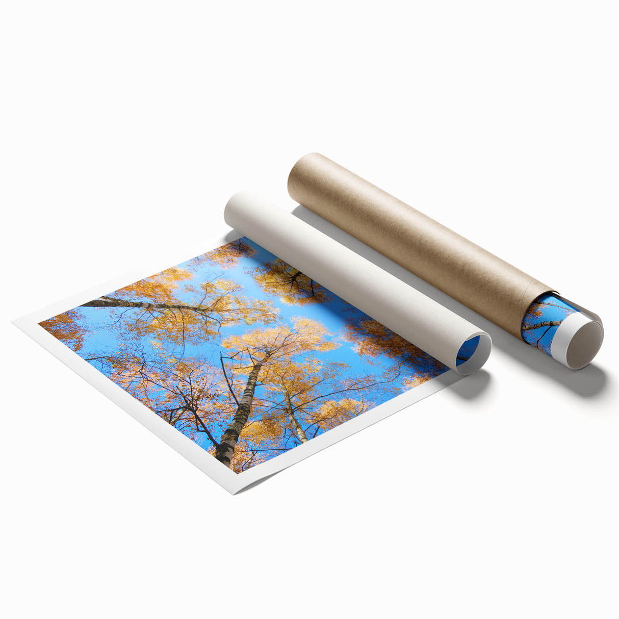 Extra large rolled print of a serene Ukrainian landscape with lush greenery and vibrant blue skies.