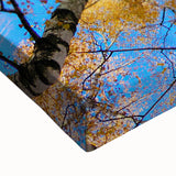 Large art of a black and white landscape painting on stretched canvas, depicting a serene Ukrainian scenery.