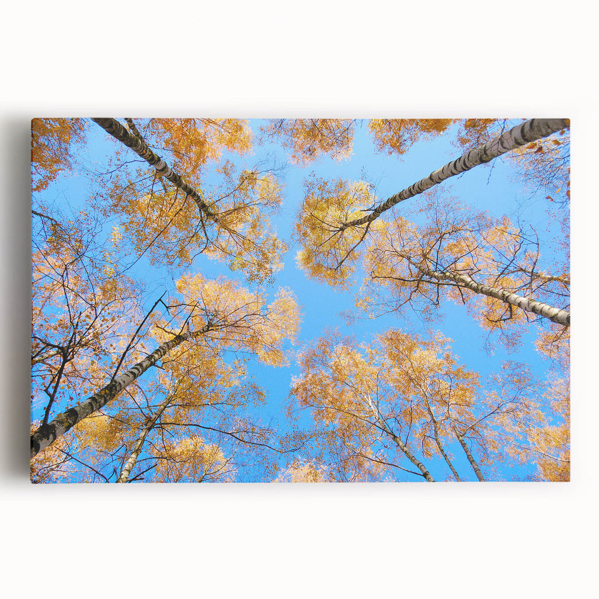 Black and white stretched canvas of a scenic European landscape, ideal for kitchen art.