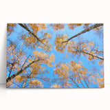 Black and white stretched canvas of a European scenery, ideal for kitchen wall art or bedroom ambiance.