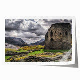 Extra large rolled print of a Welsh landscape featuring lush greenery and floral elements.