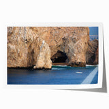 Extra large rolled print of Baja California scenery with vibrant floral elements, ideal for art wall dining room.