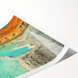 Extra large wall art featuring line art flowers on a rolled print, ideal for large living room decor.