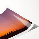 Extra large wall art featuring line art flowers in monochrome, rolled print format, suitable for large living room decor.