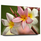 Large abstract wall art of a serene Oceania Fiji scenery in muted blue and green tones on acrylic glass.