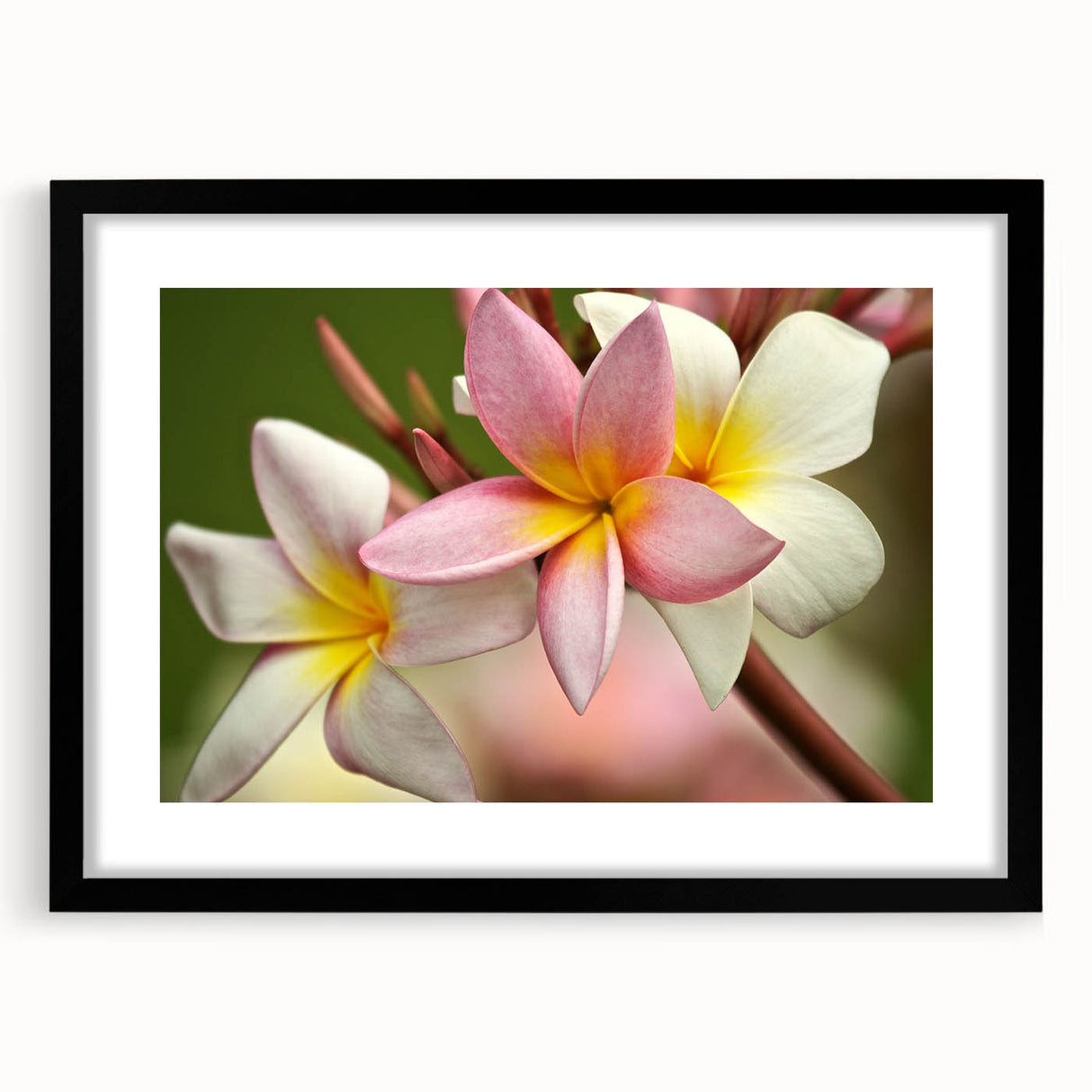Abstract art print of vibrant, textured colors depicting Oceania scenery on a large canvas, framed in black.