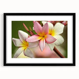 Abstract art print of vibrant, textured colors depicting Oceania scenery on a large canvas, framed in black.