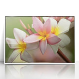 Framed acrylic print of a serene Fiji beach scene in soft blue and white tones, suitable for modern nursery decor.