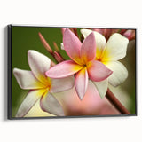 Black and white landscape art of Fiji on framed canvas, ideal for bedroom wall decor.