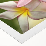 Art deco poster featuring a serene Oceania Fiji scenery in pastel shades on rolled canvas, ideal for dining room wall art.