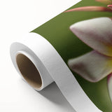 Art deco poster of a serene Fiji beachscape with soft blue and sandy hues on rolled canvas, ideal for nursery wall art.