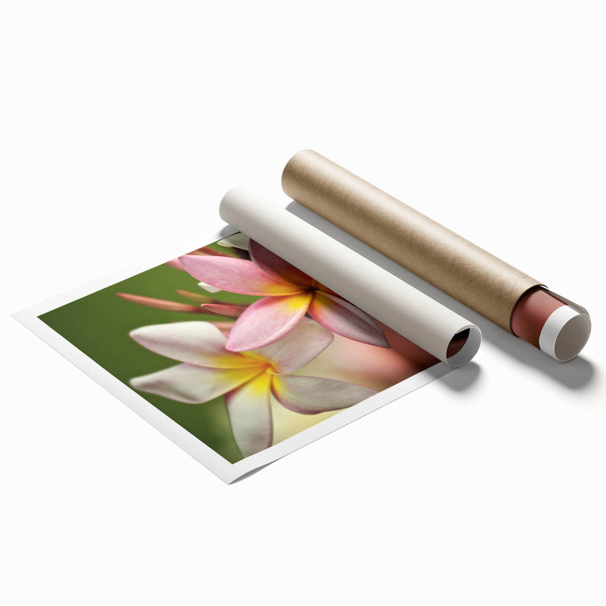 Extra large rolled print of a serene Fiji ocean scenery with floral accents, suitable for classy bathroom wall art.