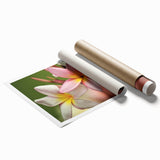 Extra large rolled print of a serene Fiji ocean scenery with floral accents, suitable for classy bathroom wall art.