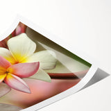 Extra large wall art featuring line art flowers in muted tones on a rolled print, suitable for large living room decor.