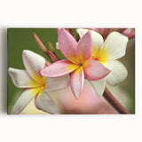 Black and white stretched canvas featuring an expansive ocean view, ideal for kitchen wall art.