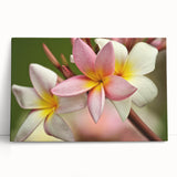 Black and white stretched canvas of a serene Fiji beach scene, ideal for kitchen wall art or bedroom ambiance.