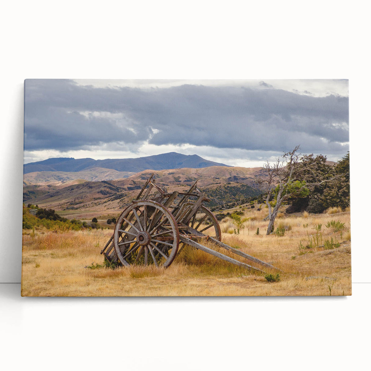 Black and white photograph of Otago, New Zealand scenery on stretched canvas.