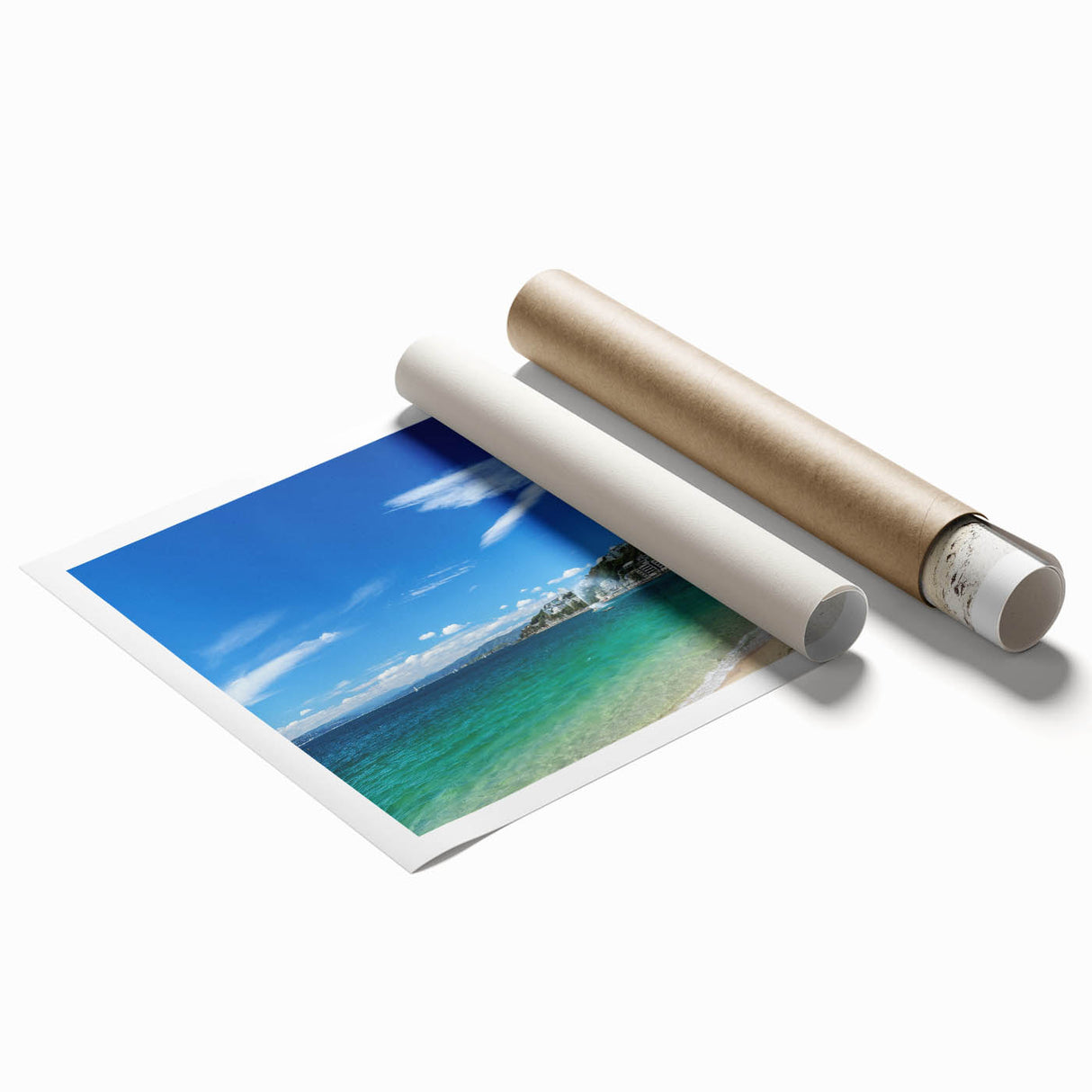 Extra large rolled print of Wellington, New Zealand, featuring vibrant floral art in a minimalist style.