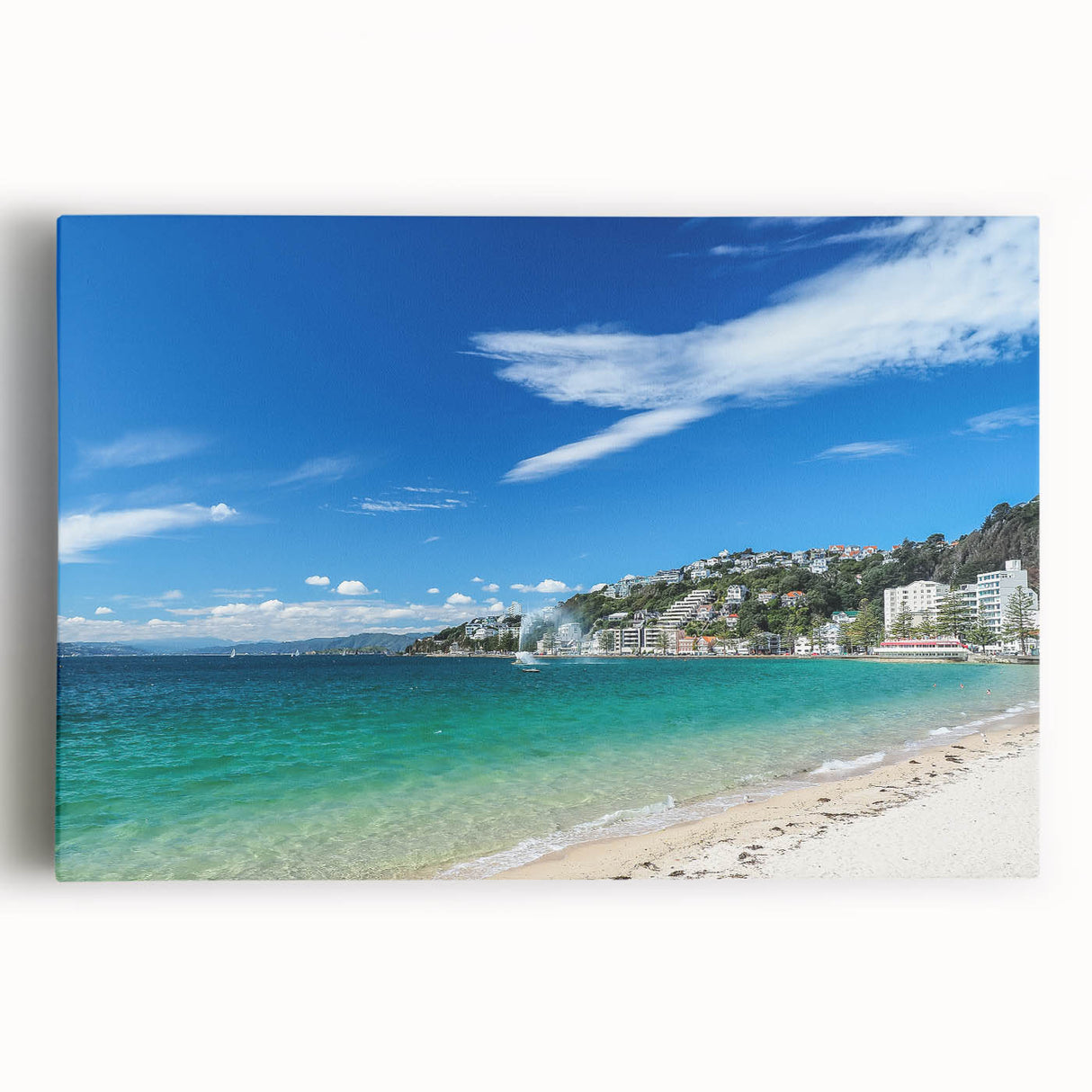 Black and white photo of Wellington, New Zealand on large stretched canvas, ideal for kitchen wall art.