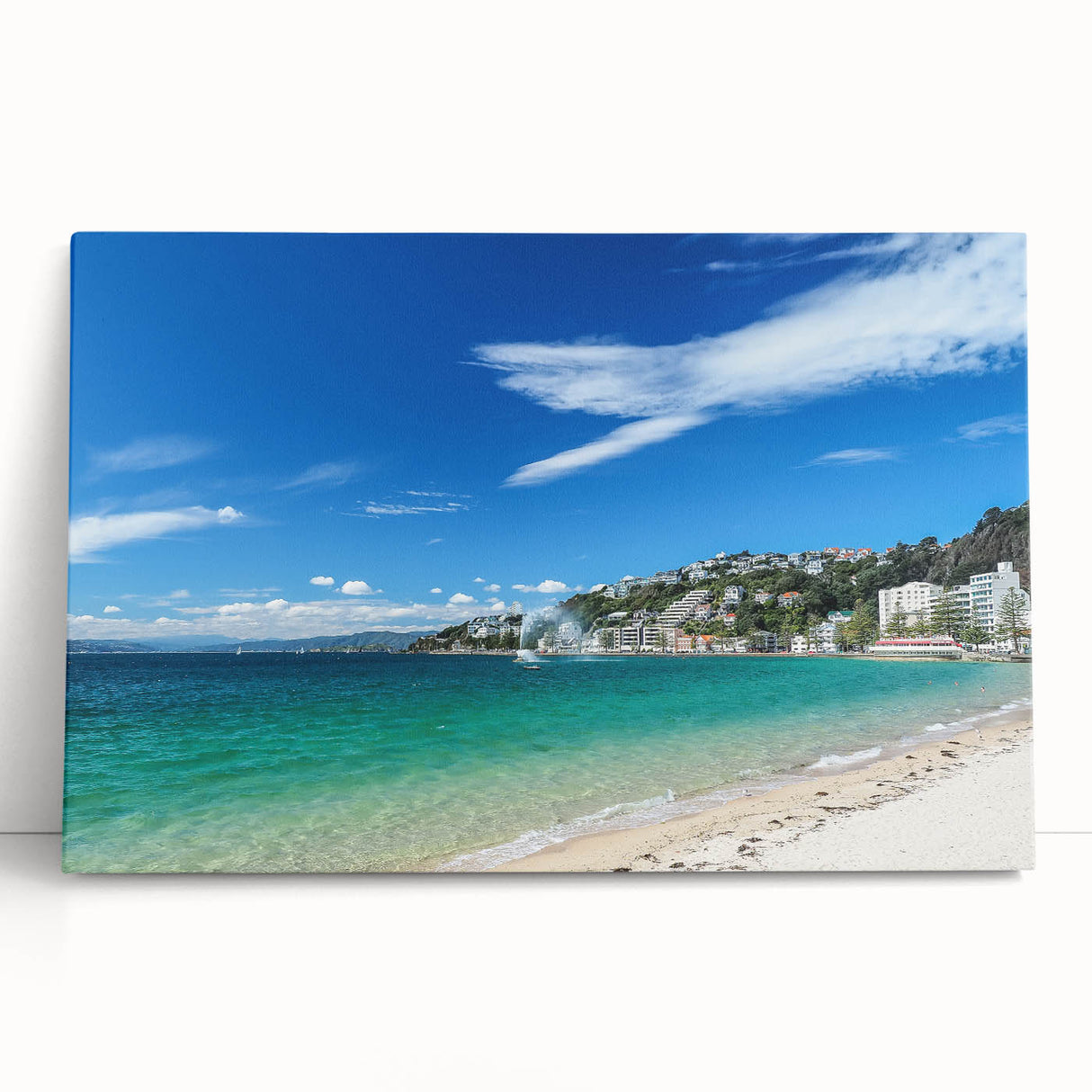 Black and white photograph of Wellington, New Zealand on stretched canvas, ideal for kitchen wall art or bedroom decor.