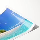 Extra large wall art featuring line art flowers in black and white on a rolled print, ideal for large living room decor.