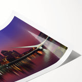 Extra large wall art depicting line art flowers in black on white background, rolled print.