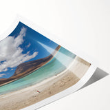 Extra large wall art featuring line art flowers in muted earth tones on a rolled canvas.