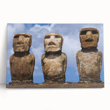 Black and white photo of Chilean landscape on stretched canvas, suitable for kitchen wall art or bedroom.