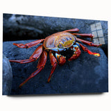 Acrylic print of a large abstract depiction of the Galapagos, with vivid blues and greens.