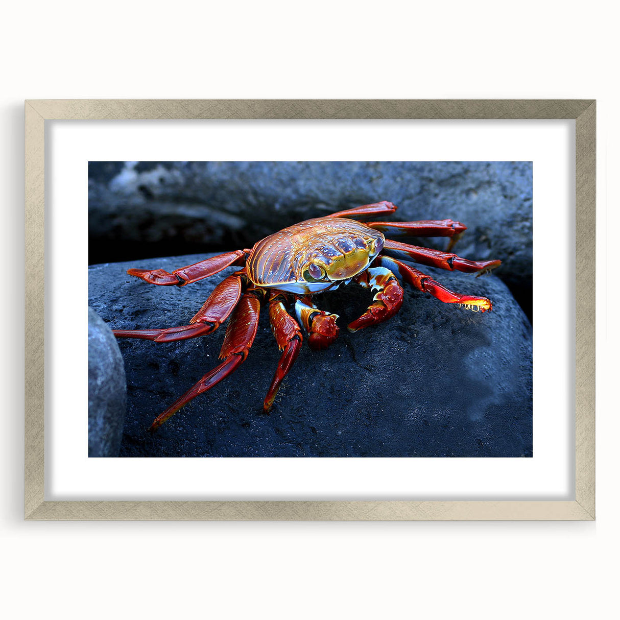 Textured abstract art print of a Galapagos scenery in muted earth tones, framed in silver, ideal for bedroom art.