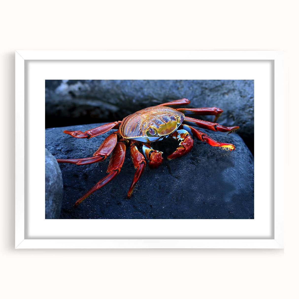 Abstract art print of Galapagos scenery in muted earth tones, framed with a white mat, ideal for dining room decor.