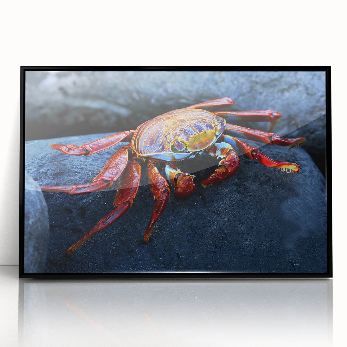 Large abstract wall art depicting a serene Galapagos landscape in soft earth tones on a framed acrylic.