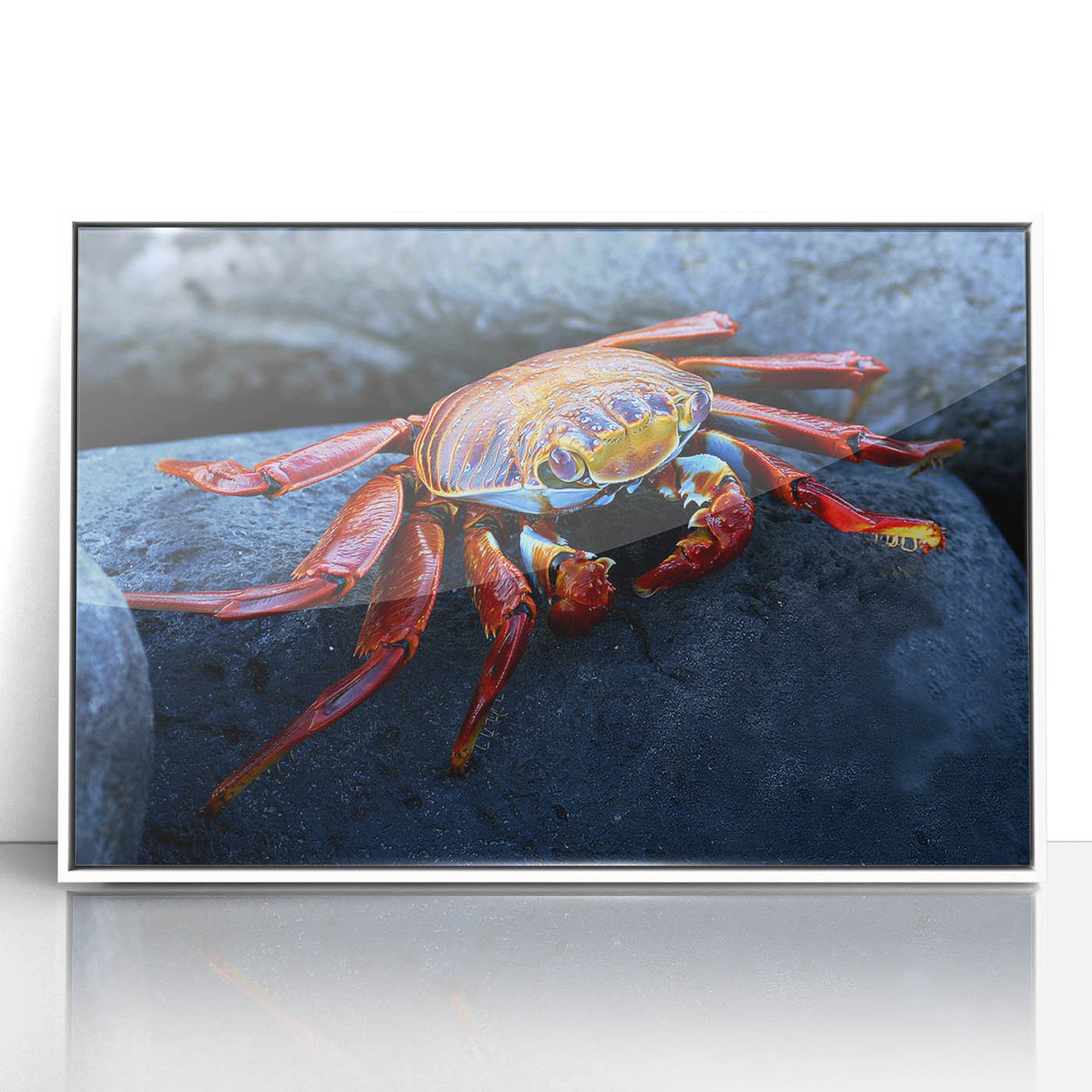 Acrylic print of a Galapagos scenery with vibrant green and blue tones, framed in white, suitable for modern art wall decor.