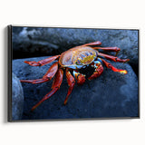 Black and white wall art featuring a vintage-style landscape of the Galápagos Islands on a framed canvas.