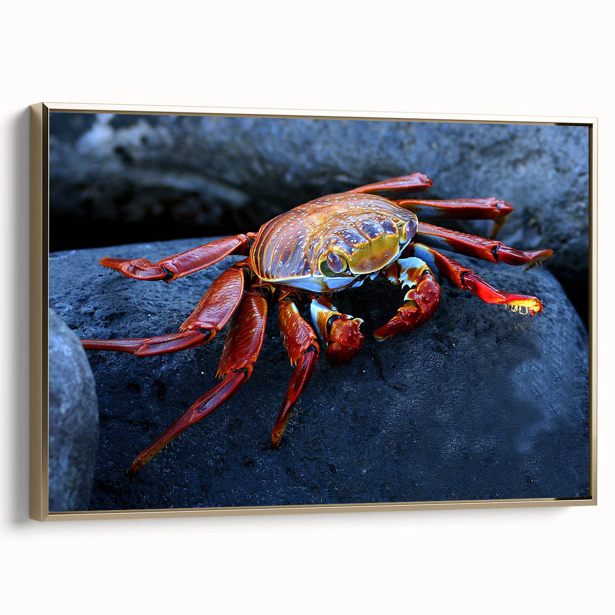 Framed canvas featuring a vintage-style landscape painting of the Galapagos Islands, in muted earth tones.
