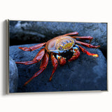 Framed canvas landscape art painting of the Galapagos Islands with vibrant colors, ideal for living room decor.