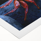 Art deco poster of a Galápagos scene with muted earth tones on rolled canvas, suitable for dining room wall art.