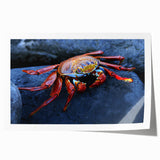 Rolled print of a Galapagos scenery with soft blue and green tones, suitable as art wall dining room decor.