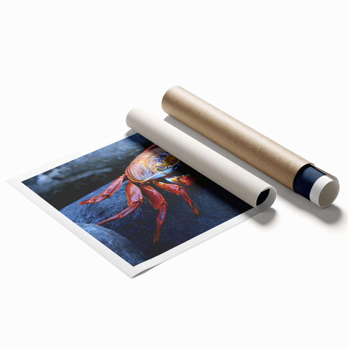 Extra large rolled print of the Galapagos scenery with vibrant green and blue tones, ideal for classy bathroom wall art.
