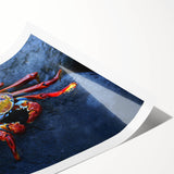 Extra large rolled print featuring line art flowers with vibrant hues, ideal for large living room wall art.