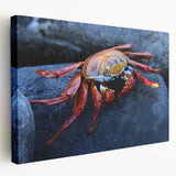 Large stretched canvas depicting a vibrant Galapagos scenery, ideal for kitchen wall art.