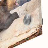 Large abstract depiction of Denali, Alaska in muted earth tones on acrylic glass.