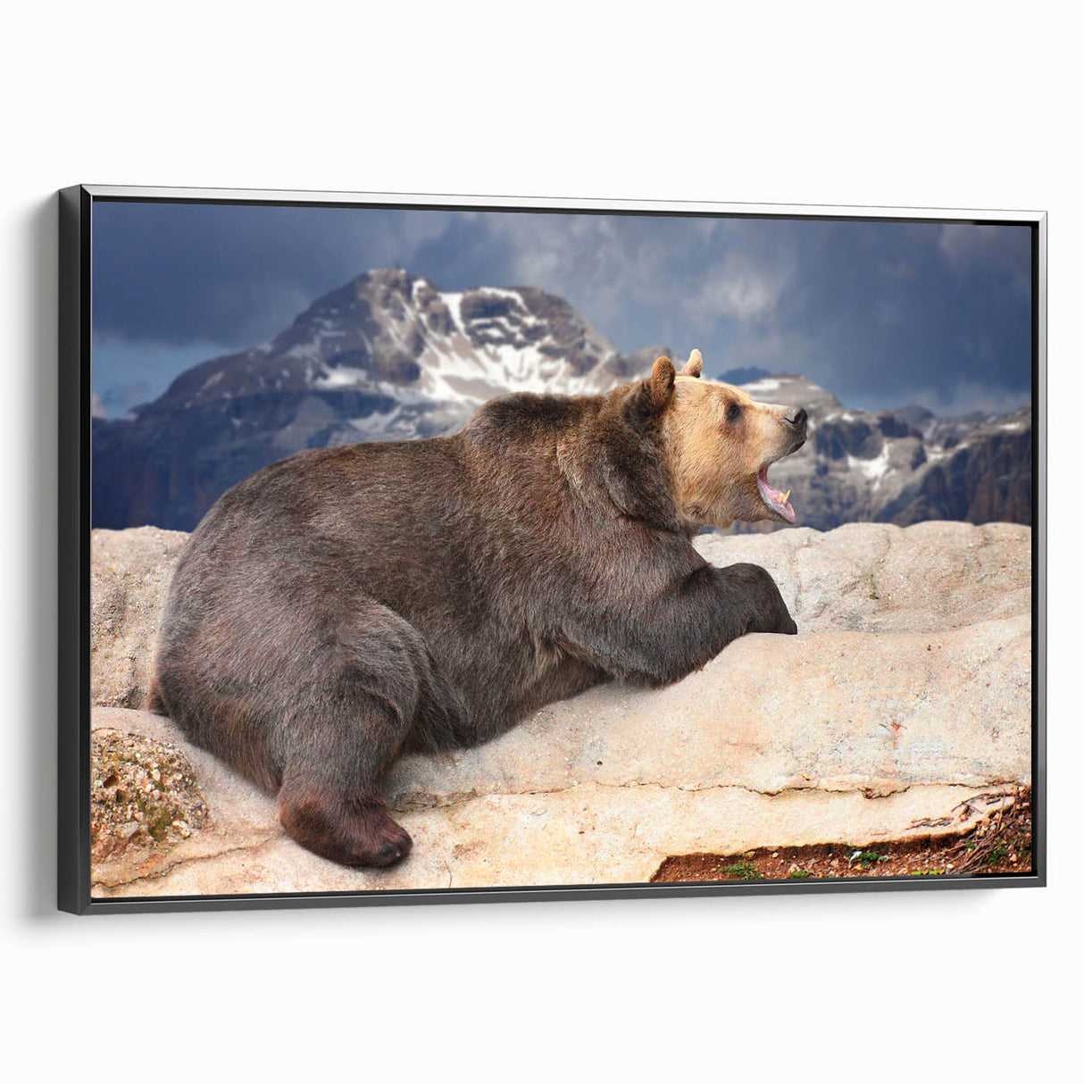 Framed canvas depicting a black and white vintage-style landscape of Denali, Alaska, ideal for bedroom wall decor.