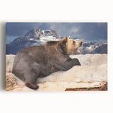 Black and white photo of Denali, Alaska on stretched canvas, ideal for kitchen wall art.