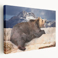 Denali National Park scenery on stretched canvas, featuring earth tones, ideal for kitchen wall art.