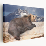 Denali National Park scenery on stretched canvas, featuring earth tones, ideal for kitchen wall art.